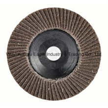 Heated Aluminum Oxide with Plastic Cover Flap Disc